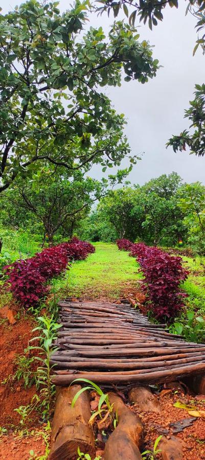 Chalobahills Farmstay Resort Ajra Zewnętrze zdjęcie